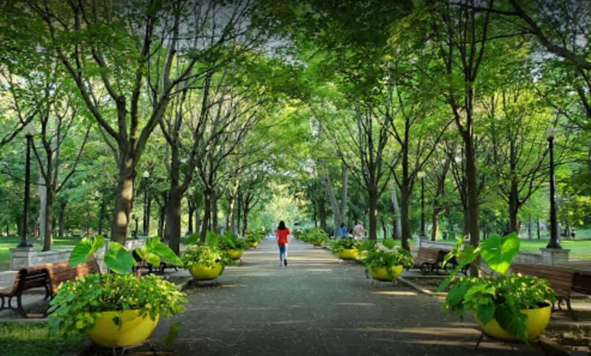 Unique Space Famed St Laurent Blvd Very Walkable Apartamento Montreal